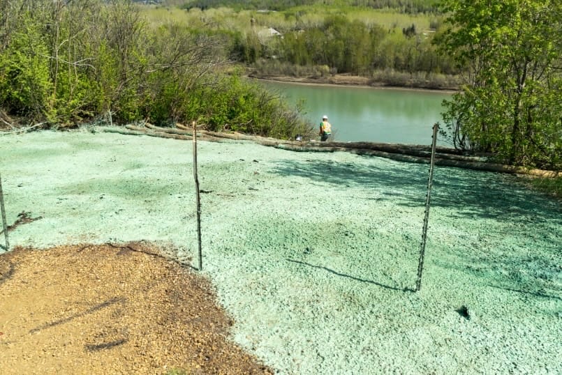 reseeding near wetlands