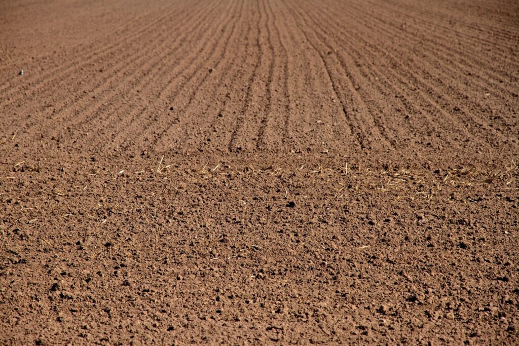 grading of new soil