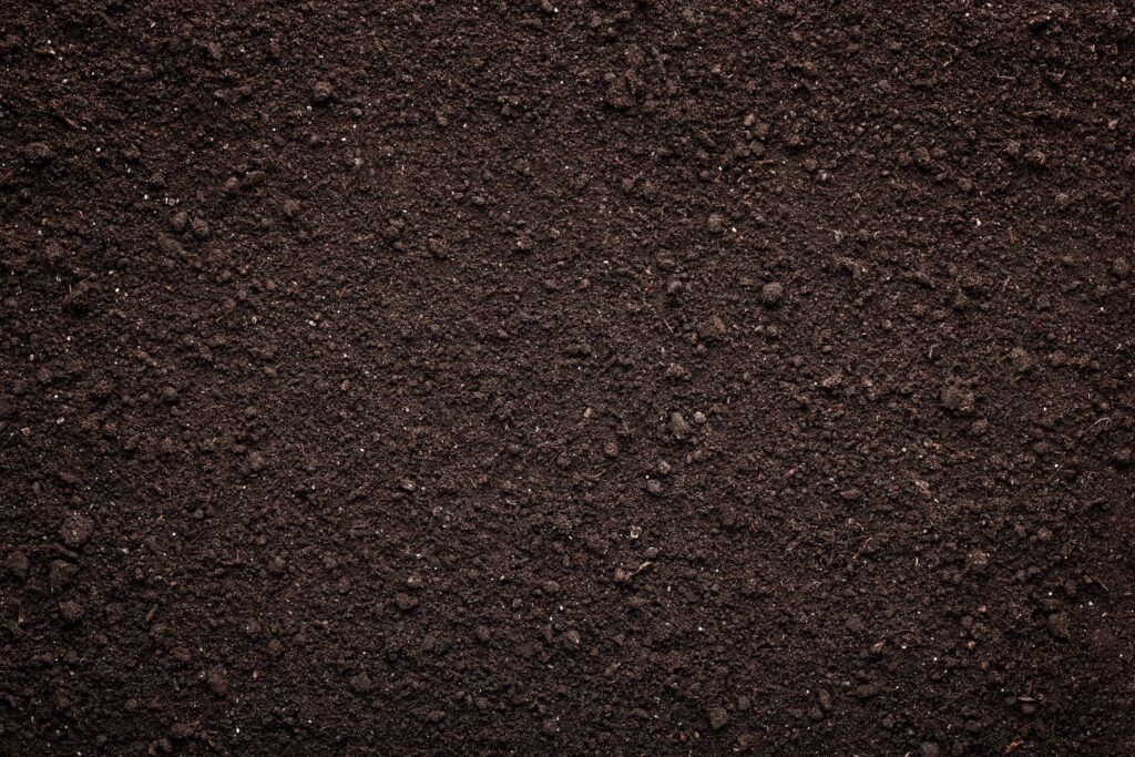 clean soil for fill