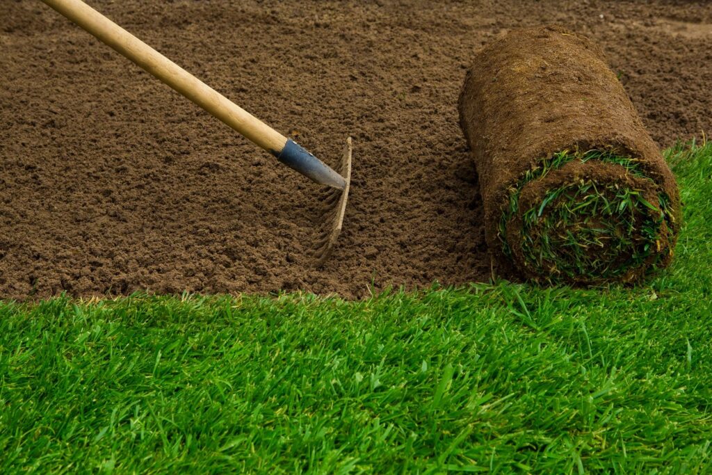 level off dirt and loam and plant grass